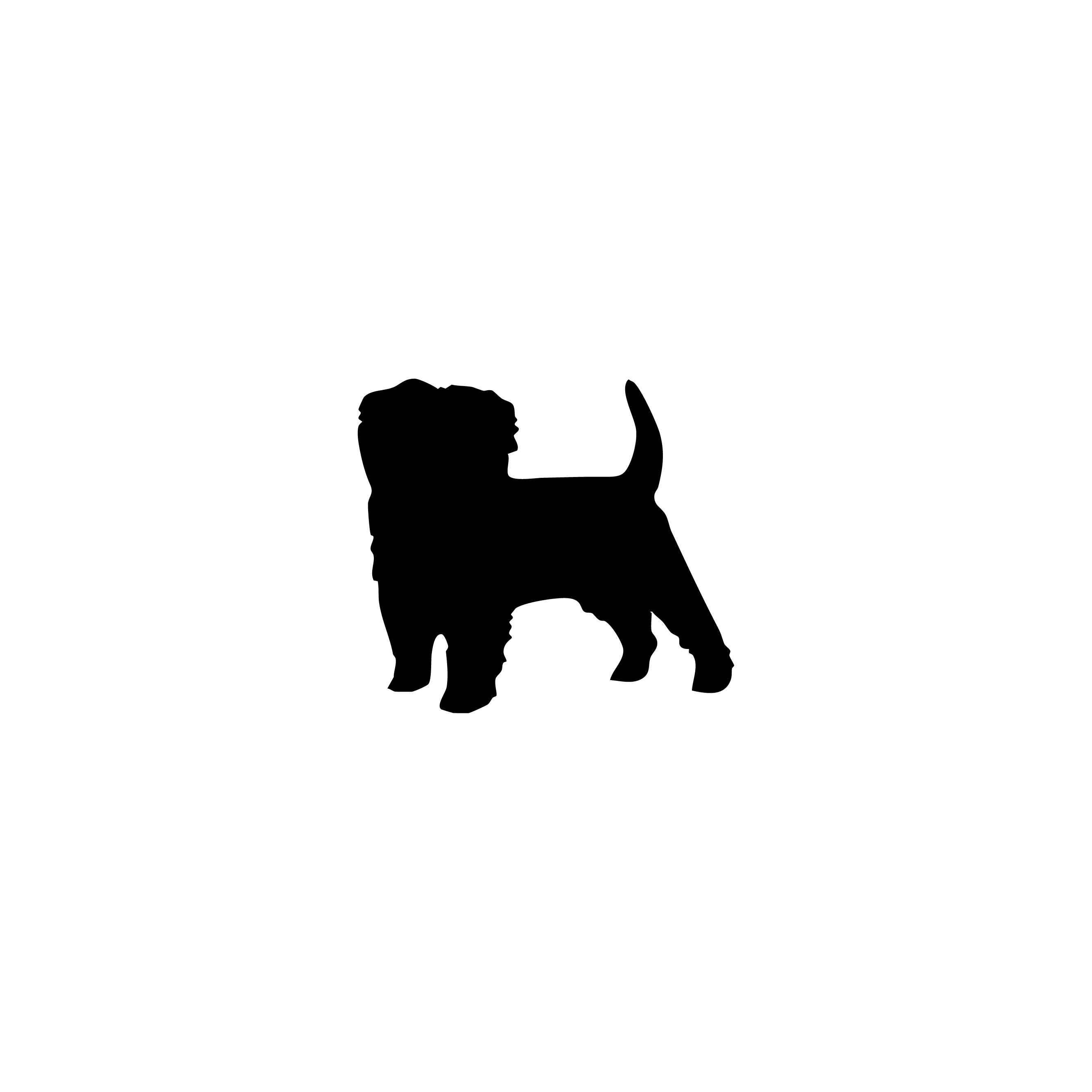 Affenpinscher