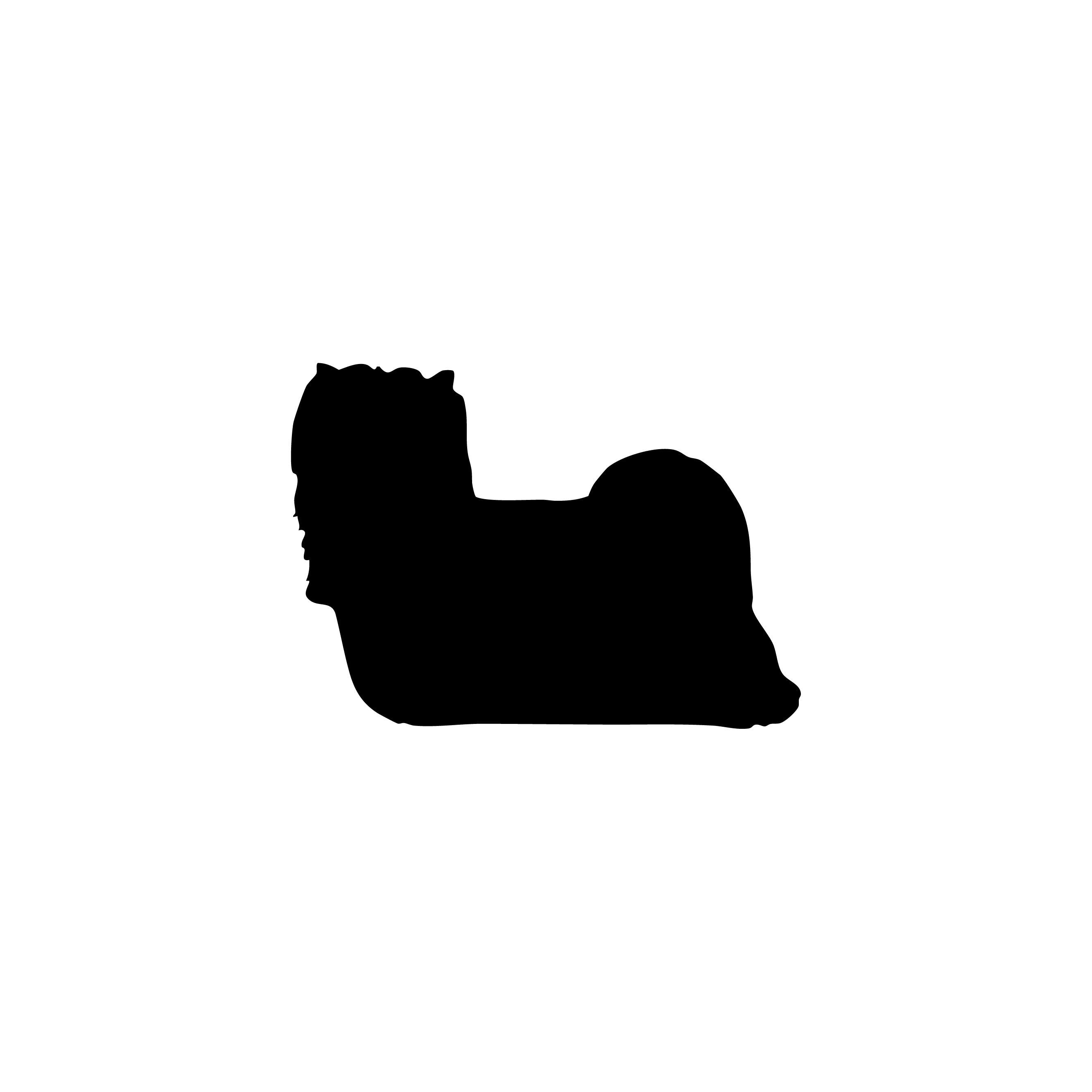 Biewer Terrier